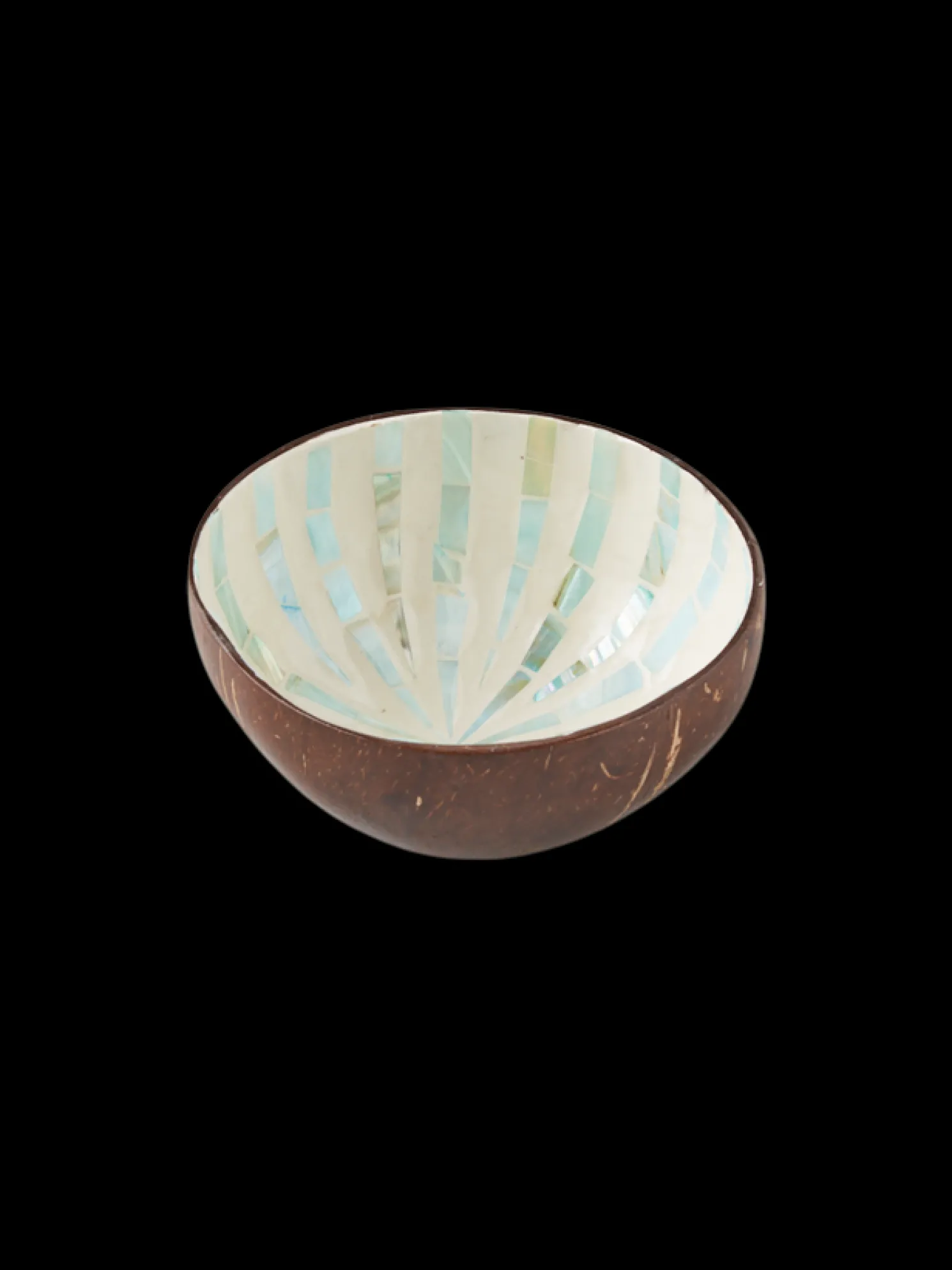 Dekorative Kokosnussschale