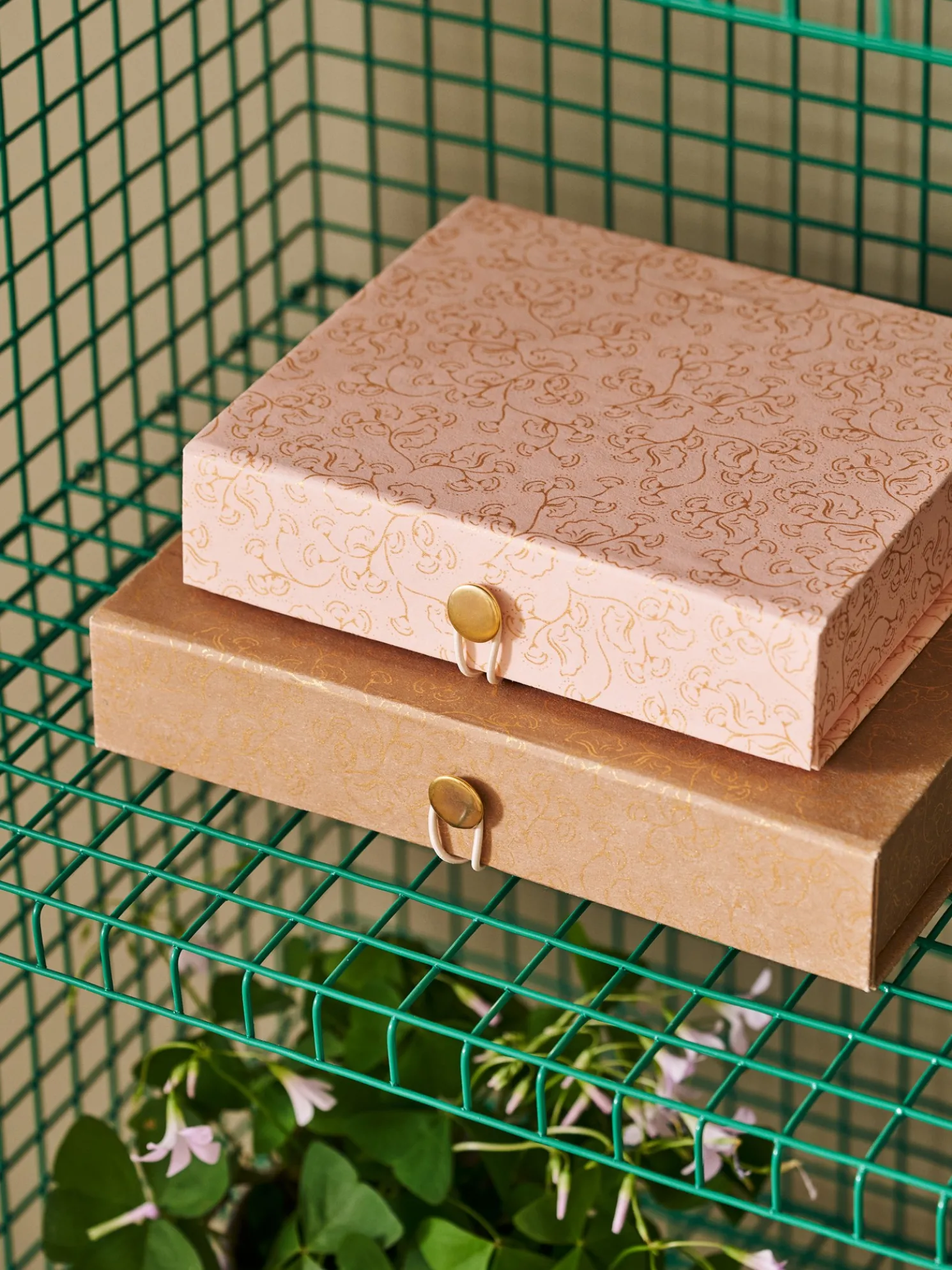 Faltbare Box